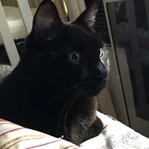 Meet your Posher, Dan